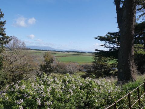 We look past a bank of white flowers to flat fields. They meet a line of trees in the distance, and blue hills are hazy along the horizon. A few cotton balls of clouds dot the sky.