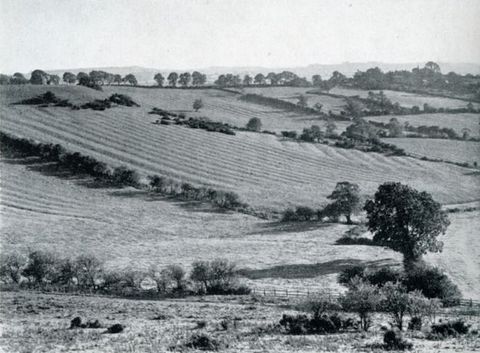 Black and white photograph. Furrowed fields sweep gently up and away from us. The horizon comes about four-fifths of the way up the composition so the fields nearly fill our view.