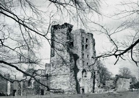 Black and white photograph. A partially ruined stone tower is framed by twisting branches of a tree between us and the building.